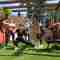 Sesiones<br> Grupales clases grupales fit sant pol